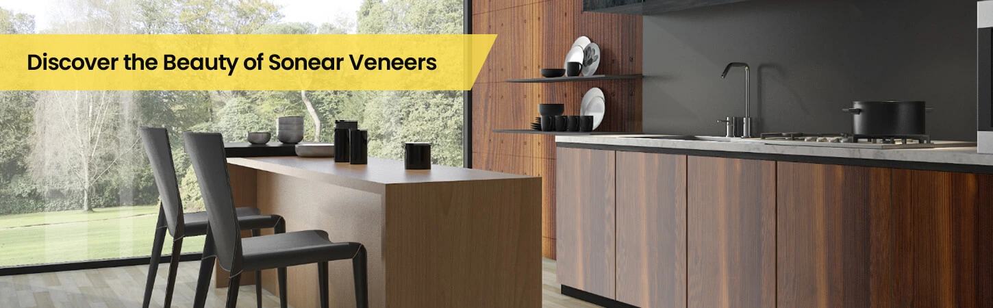 Discover the beauty of sonear veneers