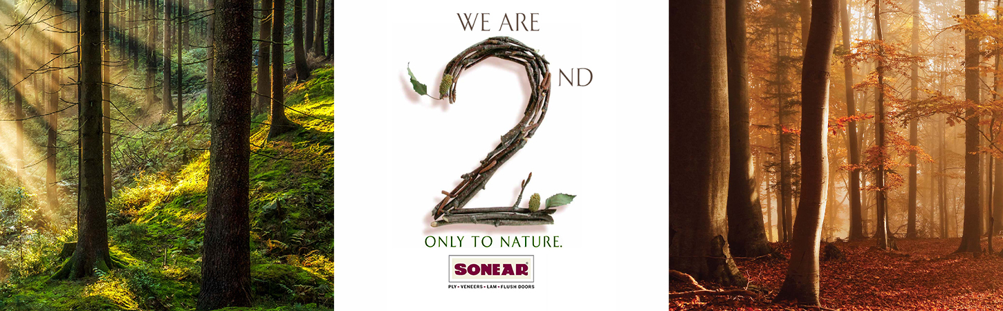 Sonear Ply|Sonear Natural Veneer Manufacturer and Supplier in India